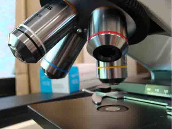 Objective Lenses of Compound Microscope