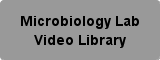 Microbiology Lab Videos