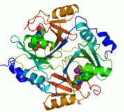 Rotating Image of Enzyme