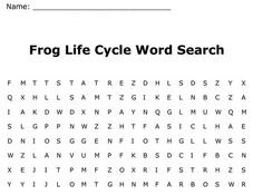 Frog Life Cycle Word Search