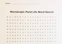 Microscopic Pond Life Word SearchWord Search