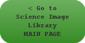 Go to Microbiology Image Library MAIN PAGE