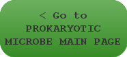 < Go to PROKARYOTIC MICROBE MAIN PAGE